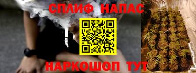 индика Обнинск