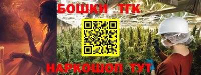 индика Обнинск