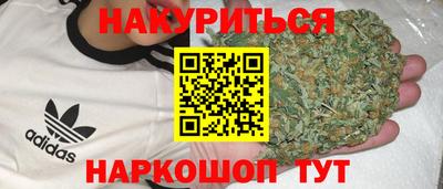 индика Обнинск